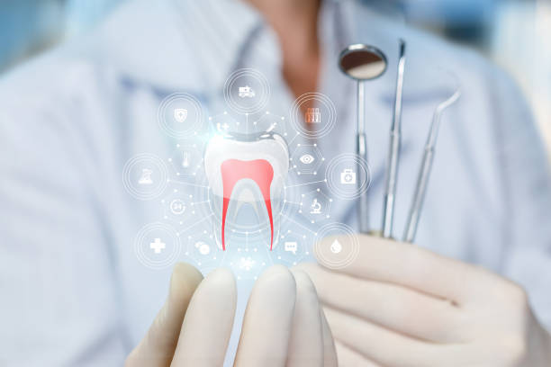 Best Dental Exams and Cleanings  in Fairborn, OH